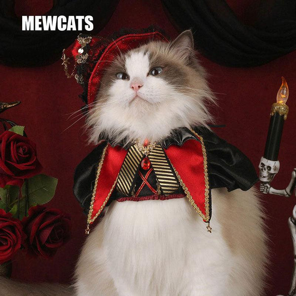 Halloween cat collar shop