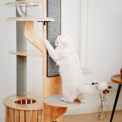 Desert Continent Solid Wood Cat Climbing Tree