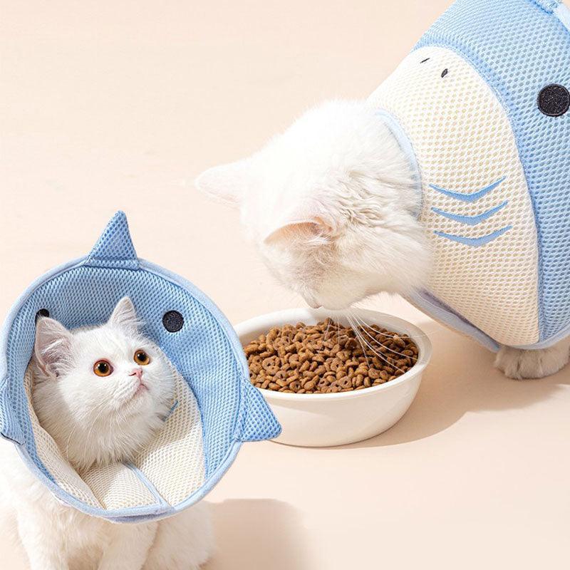Dolphin Cat Cone Collar Cute Headgear (2)