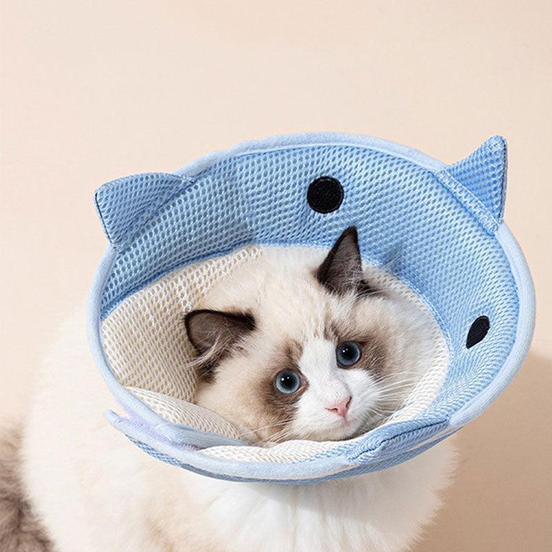 Dolphin Cat Cone Collar Cute Headgear (2)