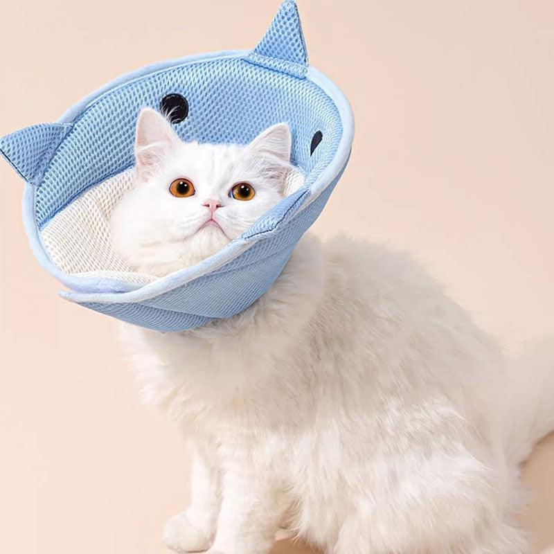 Dolphin Cat Cone Collar Cute Headgear (2)