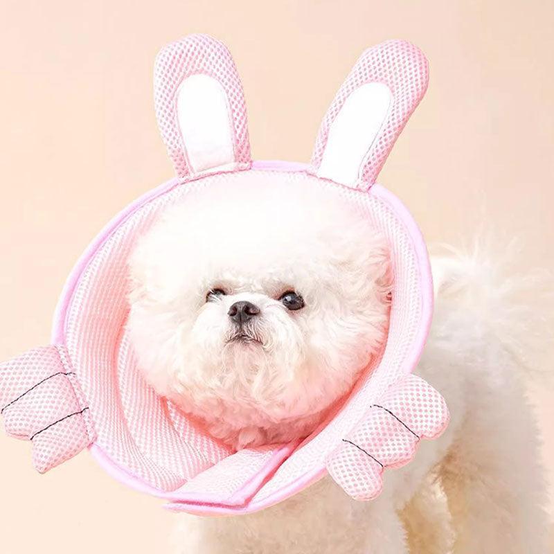 Dolphin Cat Cone Collar Cute Headgear (2)