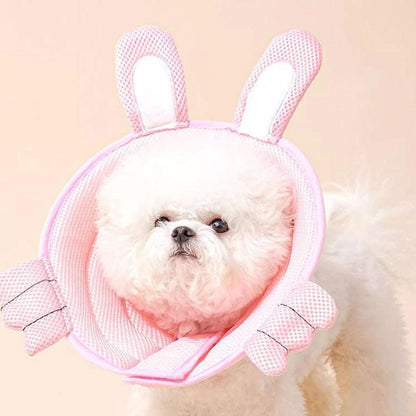 Dolphin Cat Cone Collar Cute Headgear (2)