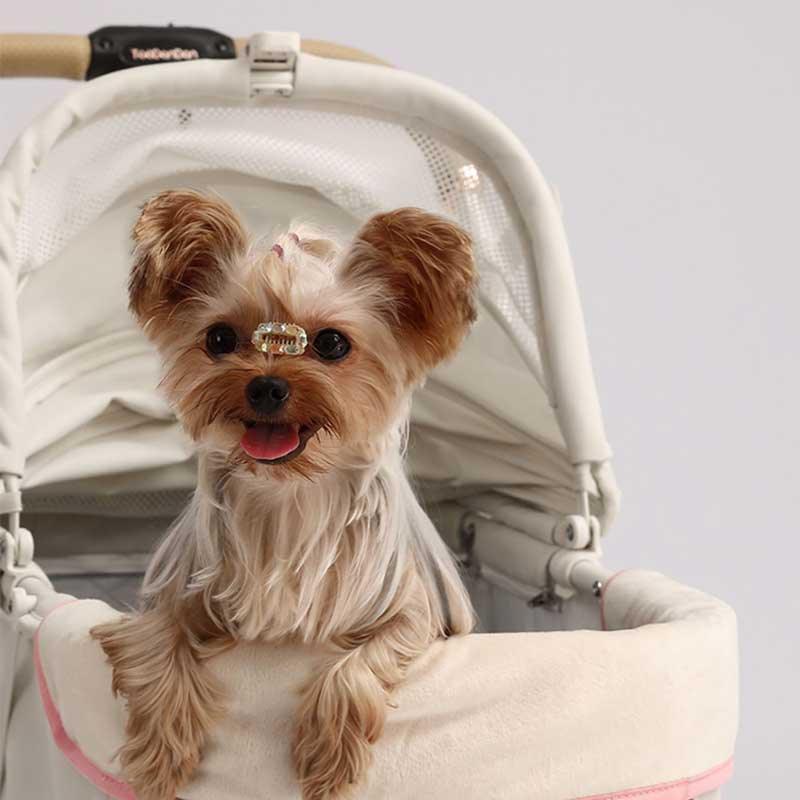 Elegant Bow Cat Stroller Carrier with Wheels