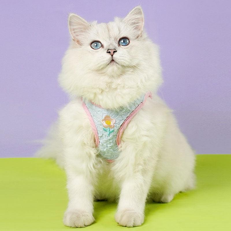 Embroidered Floral Cat Leash Harness Lead