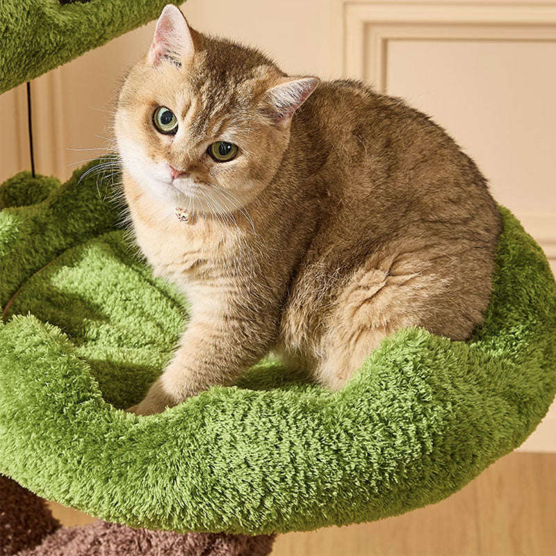 Evergreen Climbing Cat Tree for Large Cats