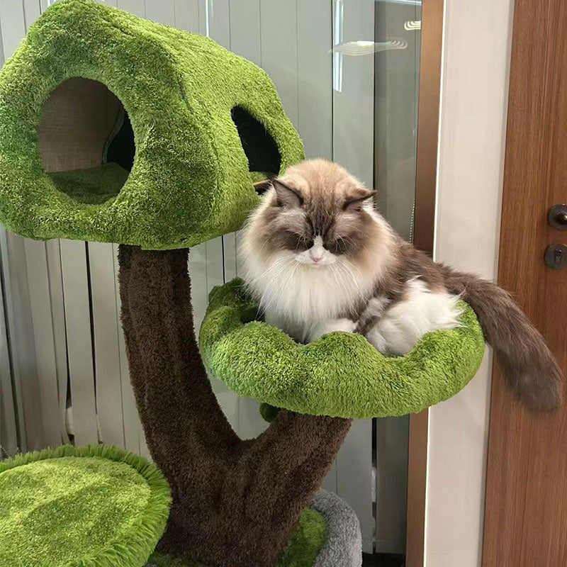 Evergreen Climbing Cat Tree for Large Cats
