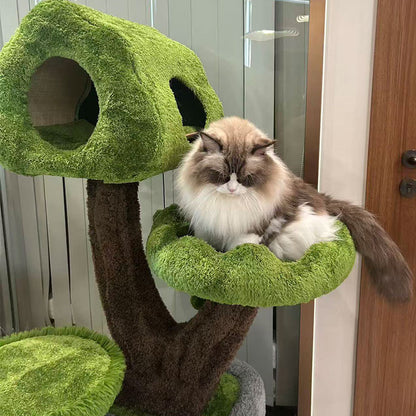 Evergreen Climbing Cat Tree for Large Cats