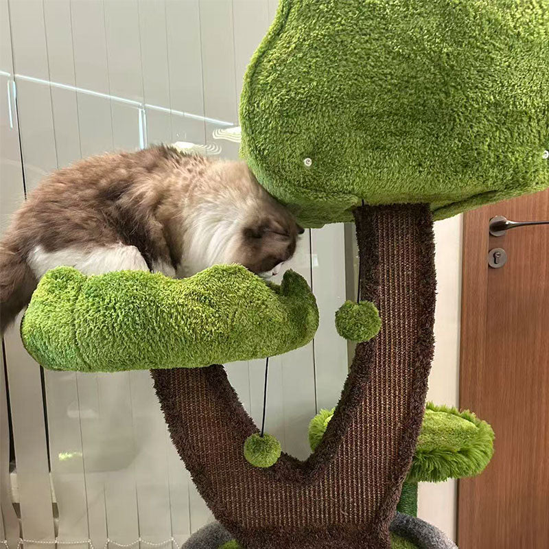 Evergreen Climbing Cat Tree for Large Cats