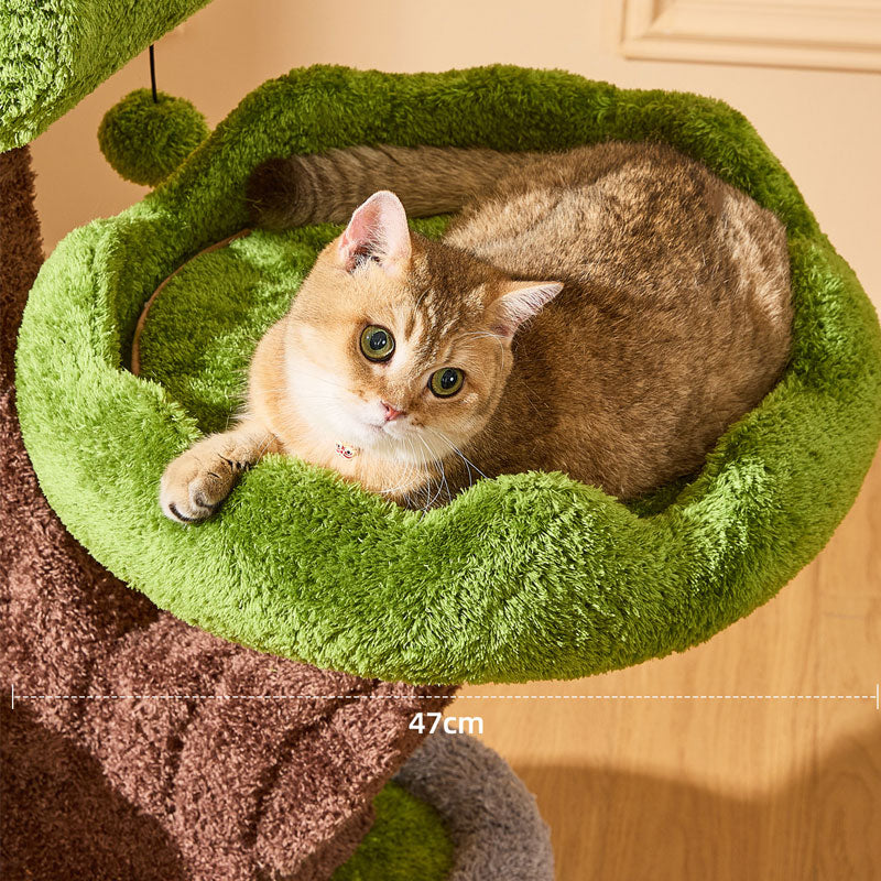 Evergreen Climbing Cat Tree for Large Cats