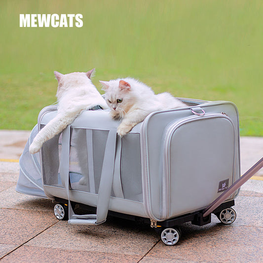 Expandable Large Cat Carrier Bag With Wheels Trolley
