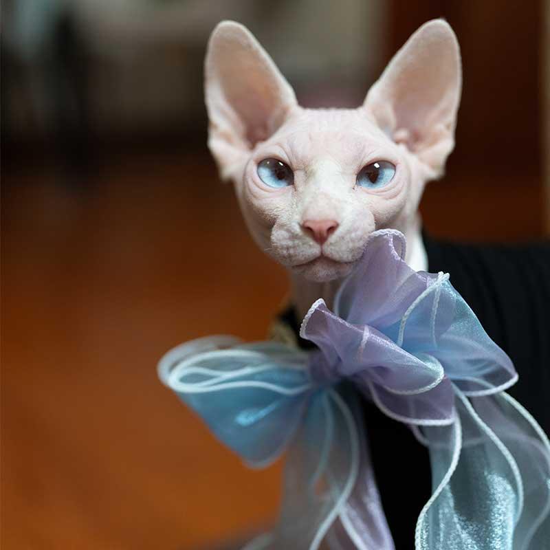 Fairy Bow Adjustable Cat Collar