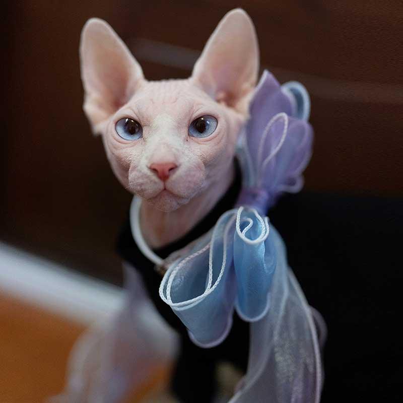 Fairy Bow Adjustable Cat Collar