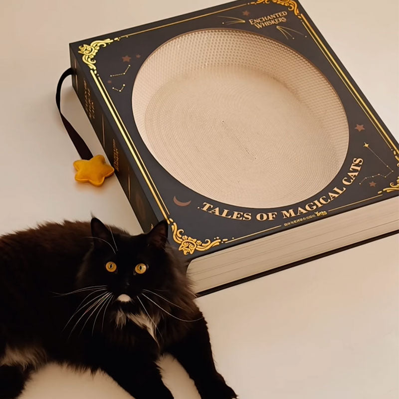 Fantasy Magic Book Cat Scratcher Bed