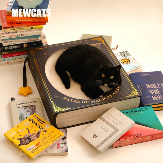 Fantasy Magic Book Cat Scratcher Bed