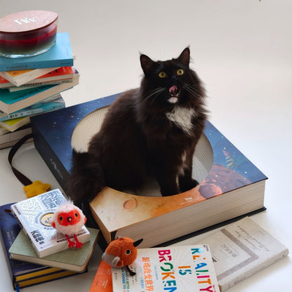 Fantasy Magic Book Cat Scratcher Bed