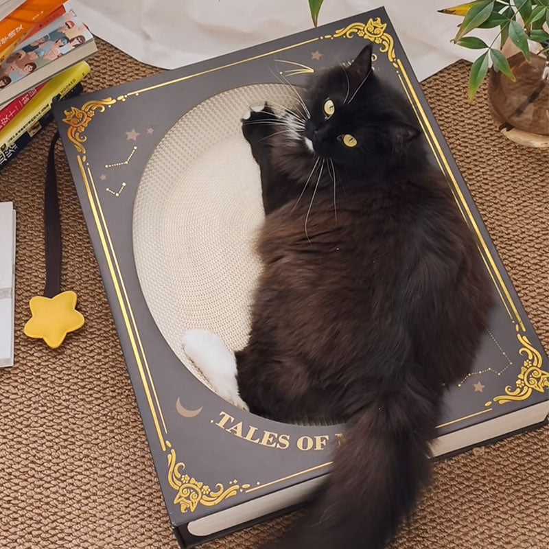 Fantasy Magic Book Cat Scratcher Bed