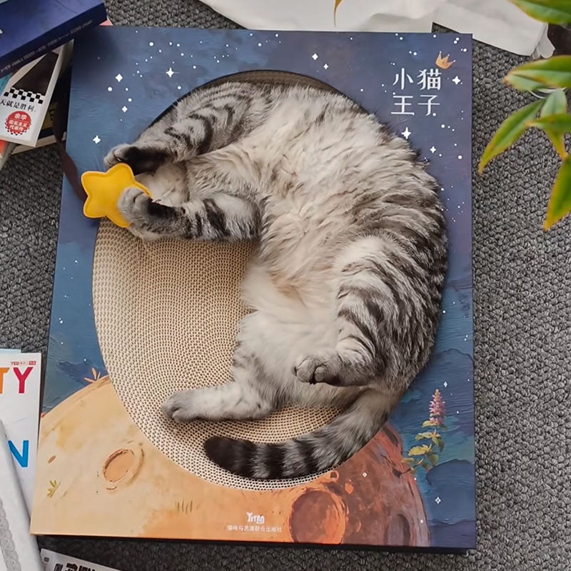 Fantasy Magic Book Cat Scratcher Bed