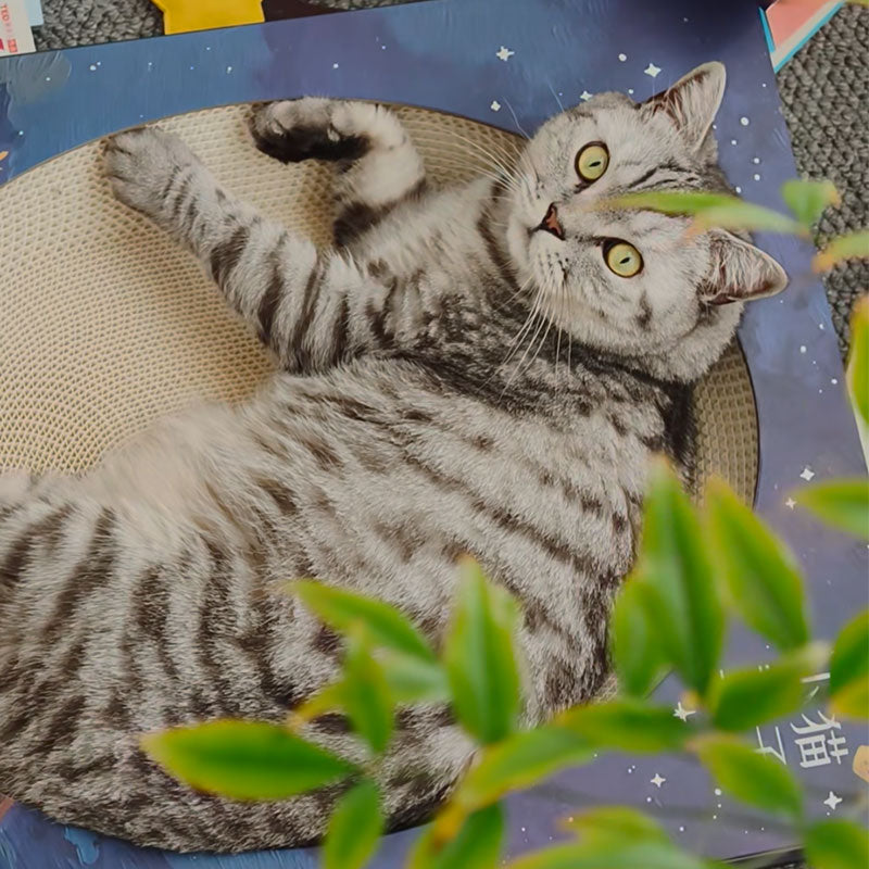 Fantasy Magic Book Cat Scratcher Bed