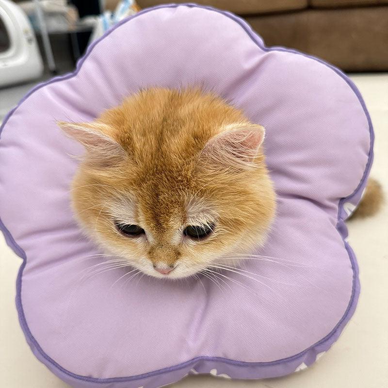 Flower Cat Cone Headgear Elizabethan Collar