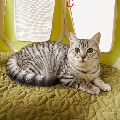 Foldable Outdoor Cat Tent Bed Cat Cave for Travel