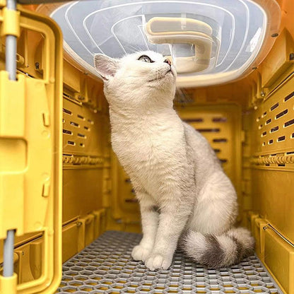 Foldable Portable Handbag Cat Carrying Hard Box Cage