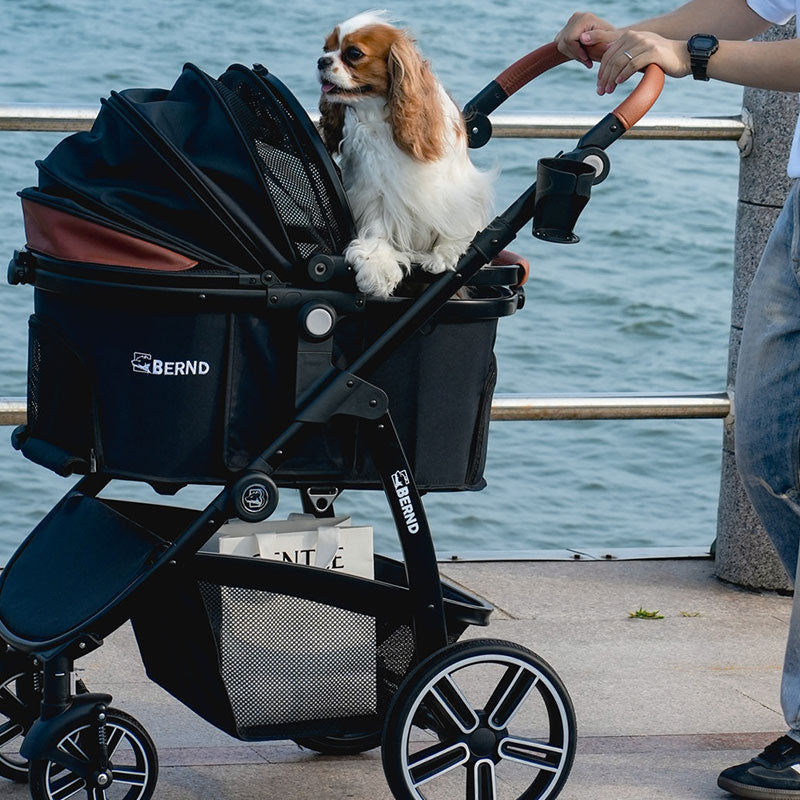 Full-Featured Cat Carrier Stroller for Multiple pets