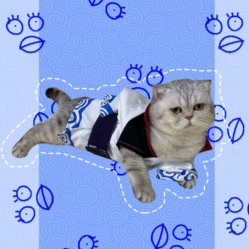 Gintoki Sakata Cat Anime Cosplay Costume