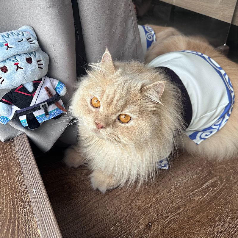 Gintoki Sakata Cat Anime Cosplay Costume