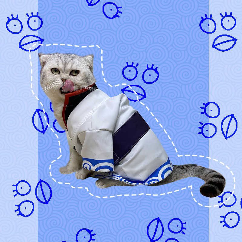 Gintoki Sakata Cat Anime Cosplay Costume