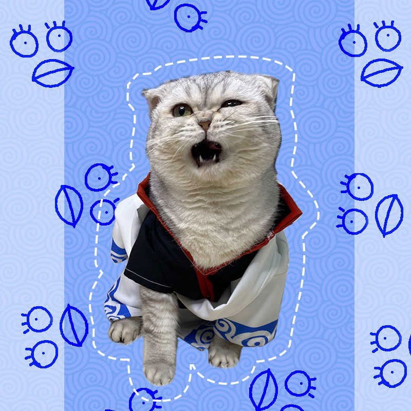 Gintoki Sakata Cat Anime Cosplay Costume
