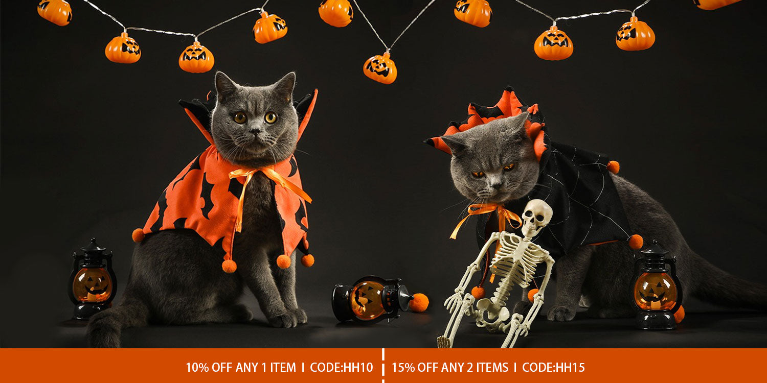 Mewcats Your one stop solution for all your cat needs MEWCATS