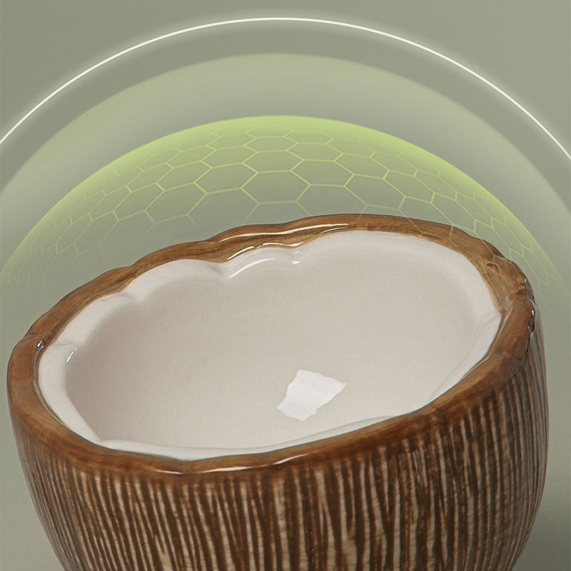 Half Coconut Ceramic Cat Food Bowl
