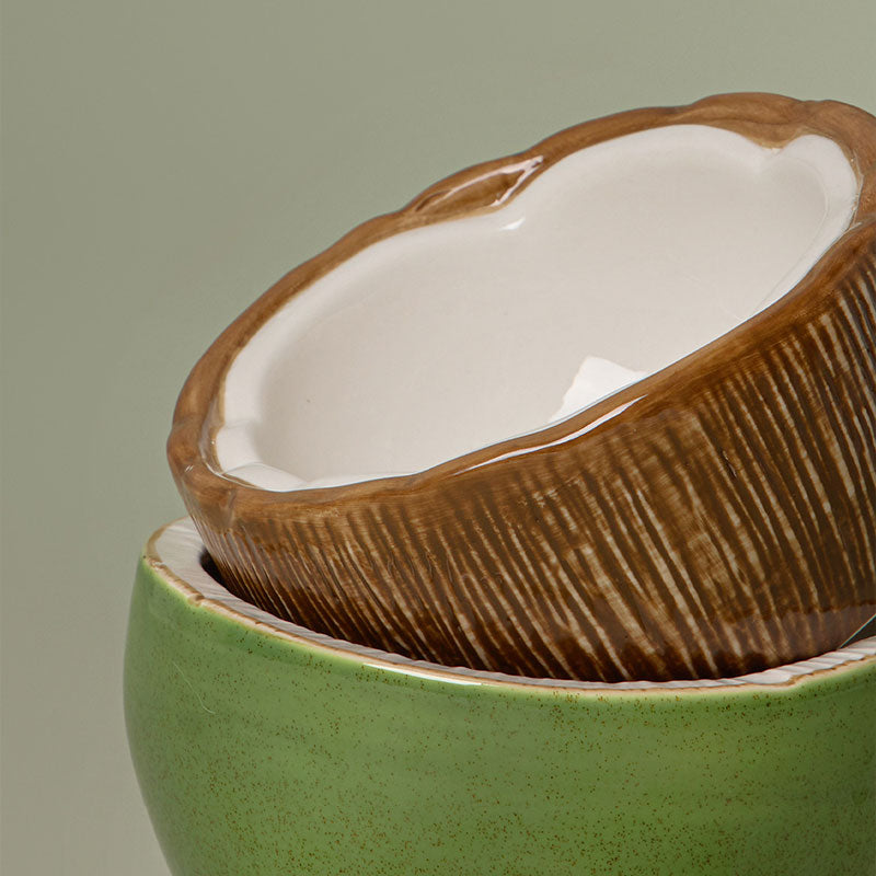 Half Coconut Ceramic Cat Food Bowl