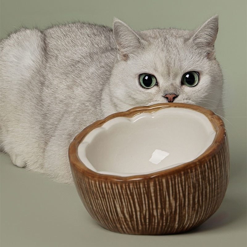 Half Coconut Ceramic Cat Food Bowl
