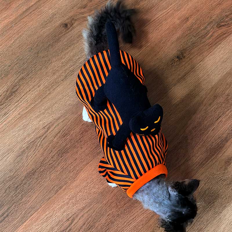 Halloween Striped Cat Riding Costume