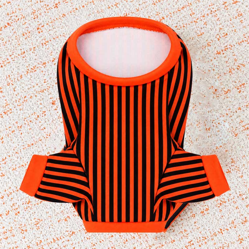 Halloween Striped Cat Riding Costume