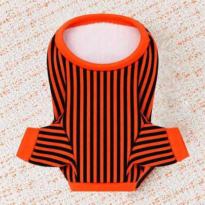 Halloween Striped Cat Riding Costume