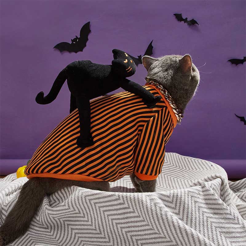 Halloween Striped Cat Riding Costume