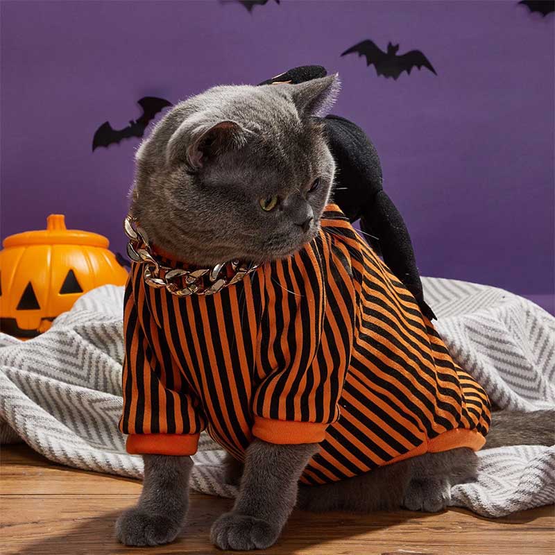 Halloween Striped Cat Riding Costume