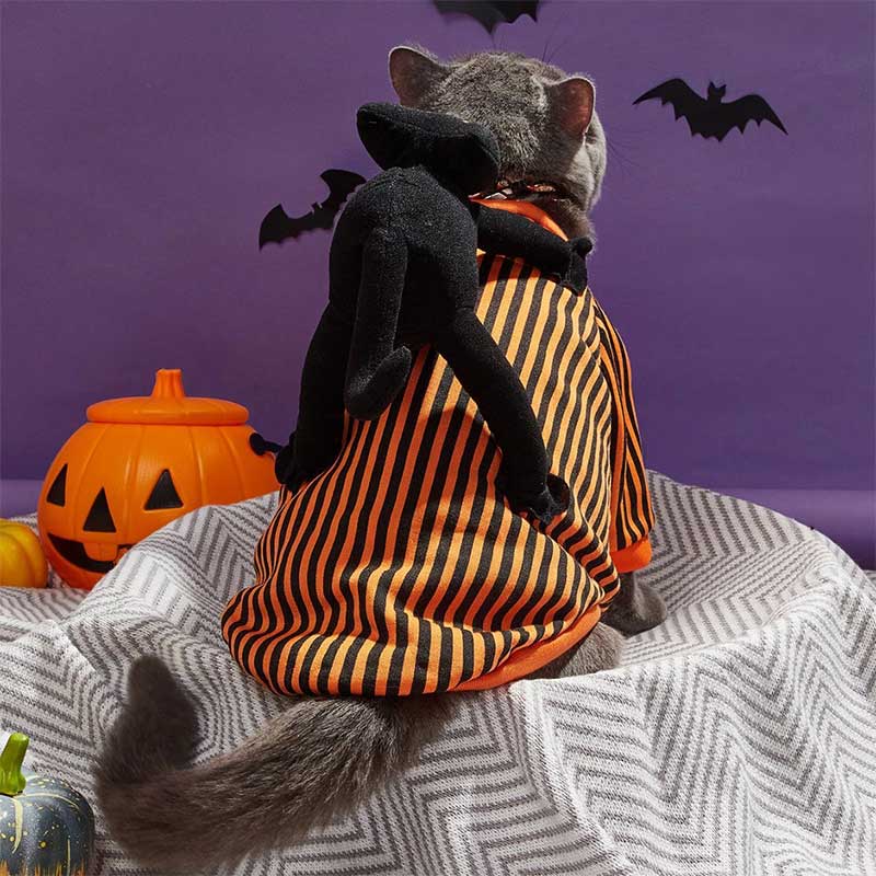 Halloween Striped Cat Riding Costume