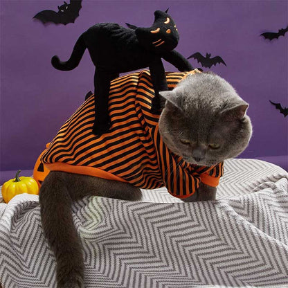 Halloween Striped Cat Riding Costume