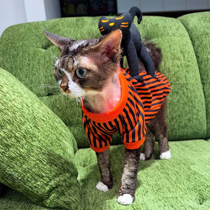 Halloween Striped Cat Riding Costume