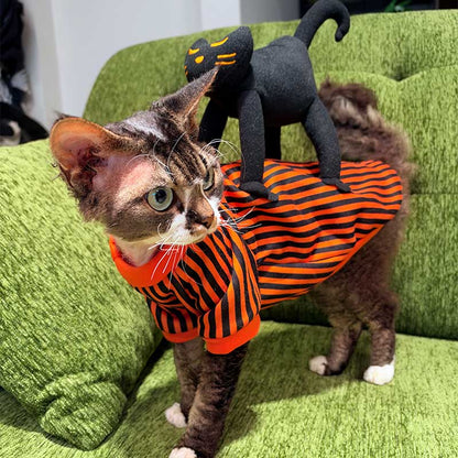 Halloween Striped Cat Riding Costume