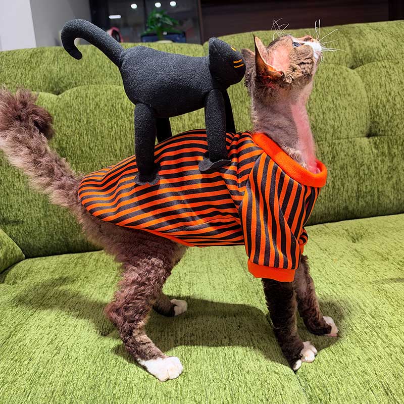 Halloween Striped Cat Riding Costume