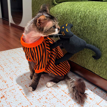Halloween Striped Cat Riding Costume