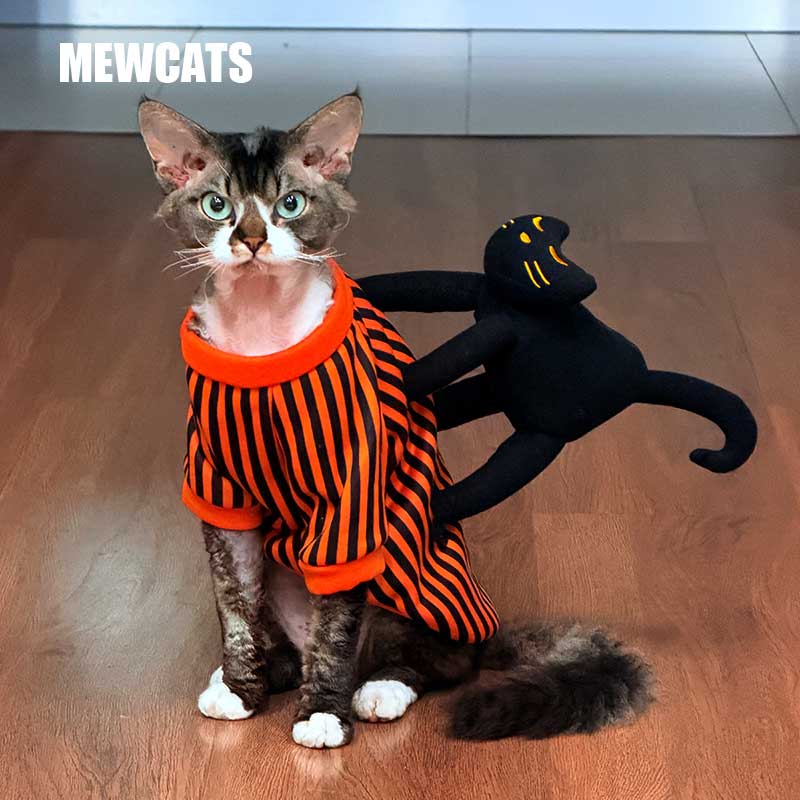 Halloween Striped Cat Riding Costume