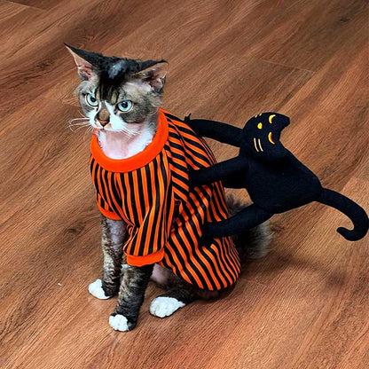 Halloween Striped Cat Riding Costume