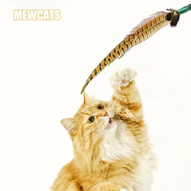 Interactive Cat Wand Pheasant Tail Feather Toy