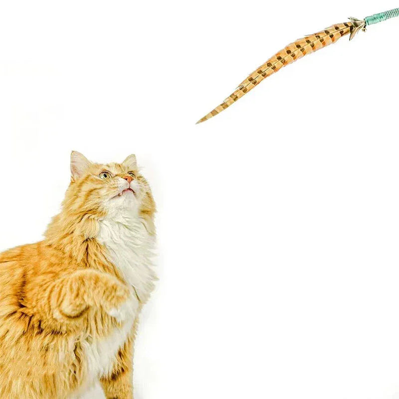 Interactive Cat Wand Pheasant Tail Feather Toy